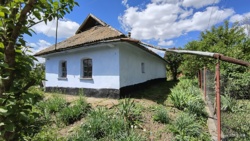 ������ ������� ���� 10