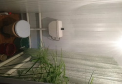 Продаю 1 поверховий дім з садом і ділянкою на 45 соток, 80 кв. м, 4 кімнати, Хмельницький фото 12 Продаю 1 поверховий дім з садом і ділянкою на 45 соток, 80 кв. м, 4 кімнати, Хмельницький фото 12