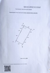 ������ ������� ���� 29