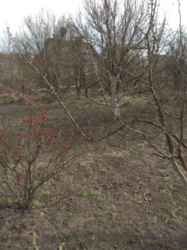 ДАЧА (дом+участок 6 соток). Городская прописка Район -Лезнево фото 7 ДАЧА (дом+участок 6 соток). Городская прописка Район -Лезнево фото 7