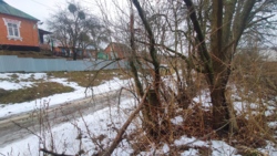 ������ ������� � ��������� ������� ���� 11