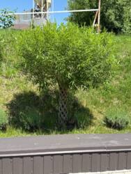 ������ ������ ������ �������� ���� 6