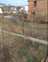 ДАЧА (дом+участок 6 соток). Городская прописка Район -Лезнево фото 6 ДАЧА (дом+участок 6 соток). Городская прописка Район -Лезнево фото 6