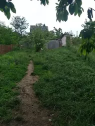 Продается дом Видрові Доли дачний масив, Грузевица, Хмельницкий, Хмельницкая фото 16 Продается дом Видрові Доли дачний масив, Грузевица, Хмельницкий, Хмельницкая фото 16