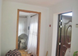 ��������� ��� ������ ���� ������ �����, ���������, �����������, ����������� ���� 7