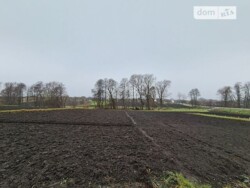 ������� 1 �������� ���� � ������� � �������� ���� 3