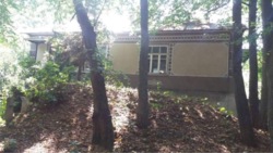 Продаж будинку з допоміжнимі спорудамі фото 4 Продаж будинку з допоміжнимі спорудамі фото 4