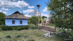 ������ ������� ���� 8