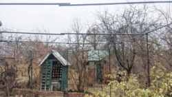 ��������� ��� ������ ����,�� ������, ���.ϳ������, ���������, �����������, ����������� ���� 6