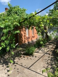 Продам ділянку під комерцію Хмельницький вул. Кам'янецька перша лінія фото 7 Продам ділянку під комерцію Хмельницький вул. Кам'янецька перша лінія фото 7