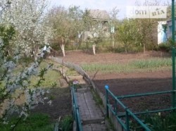 �������� ���� ���� 5