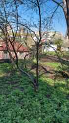 ������ ������� � ������ ����� ���� � ������� ��������� ������� 16 ����� ���� 18