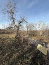 ������ ������� ������� ������� ���� 6