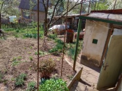 ������ ���� ������� �������� 50 ��.� ���� 4