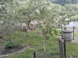 ��������� ��� �����������, �����������, ������� ���� 17