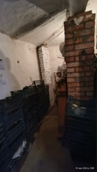 ������ ������� ���� 23