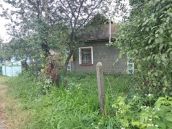 ��������� ���� 3