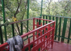 ��������� ��� ������ ���� ������ �����, ���������, �����������, ����������� ���� 9