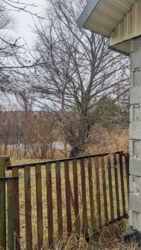 ��������� ��� ������ ����,�� ������, ���.ϳ������, ���������, �����������, ����������� ���� 9