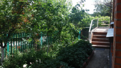 ĳ� ��������� ������ ���� 2