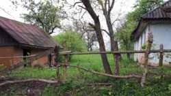 ������ ������� � ��������� ������� ���� 13