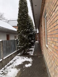 ������� �������� ���� ���� 3