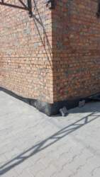 ������� ����������! ���� 6