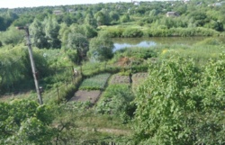 ��������� ��� ������ ���� ������ �����, ���������, �����������, ����������� ���� 12