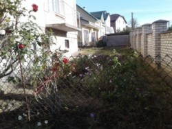 ��������� ��� �����������, �����������, ������� ���� 19