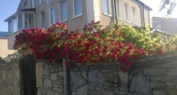 ��� (������ ��������) ���� 1