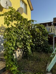 ������ �������������� ������� ϳ������-�����. ���� 21