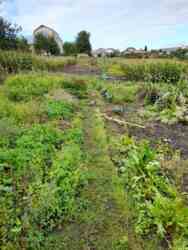 Продается дом Корольова, Хмельницкий, Хмельницкая, Книжковцы фото 3 Продается дом Корольова, Хмельницкий, Хмельницкая, Книжковцы фото 3