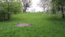 ������ ������� � ��������� ������� ���� 17