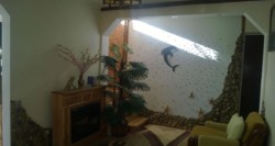 ��� (������ ��������) ���� 7