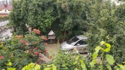 ������� � ������ ����� ����,180 ��. �, 4 ���., �� ���� 5