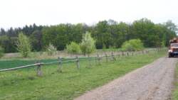 ������ ������� � ��������� ������� ���� 16