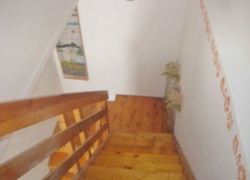 ��������� ��� ������ ���� ������ �����, ���������, �����������, ����������� ���� 3