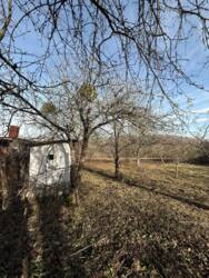 ������ ������� ������� ������� ���� 14