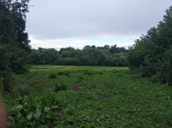 ��������� ���� 6