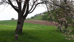 ������ ������� � ��������� ������� ���� 14