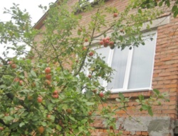 ��������� ��� ������ ���� ������ �����, ���������, �����������, ����������� ���� 2