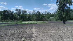 ������ ������� ���� 6