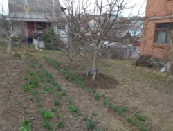 ДАЧА (дом+участок 6 соток). Городская прописка Район -Лезнево фото 2 ДАЧА (дом+участок 6 соток). Городская прописка Район -Лезнево фото 2