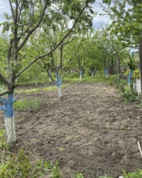 ������ ������� ���� 12