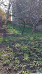 ������ ������� � ������ ����� ���� � ������� ��������� ������� 16 ����� ���� 6