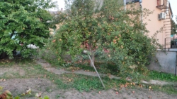 ������ ������� ������� ���� 3