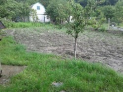 ��������� ��� �����������, �����������, ������� ���� 16