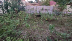 ������ ������� ������� ���� 6