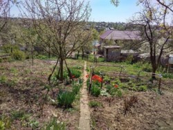 ������ ���� ������� �������� 50 ��.� ���� 2