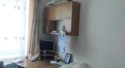 Продается дом Залізнична, Хмельницкий, Хмельницкая, Дальние Гречаны фото 10 Продается дом Залізнична, Хмельницкий, Хмельницкая, Дальние Гречаны фото 10